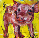 pig