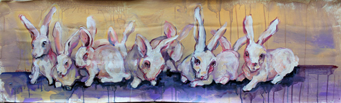 rabbits