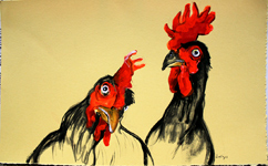 roosters