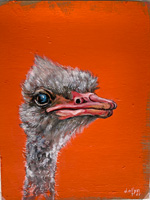 ostrich