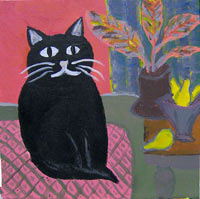cat