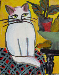 cat