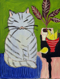 cat