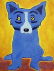 bluedog