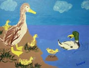 ducks