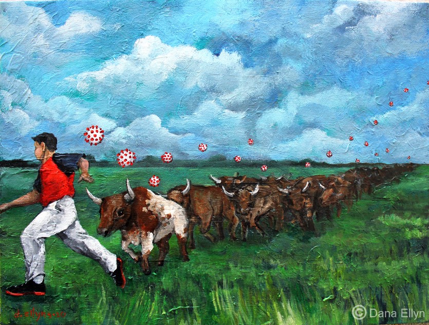 bulls