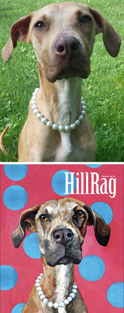 hillvitaV