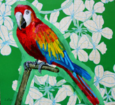 parrot