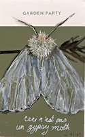 moth