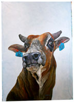 bull