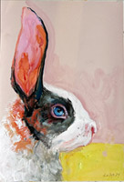 rabbit