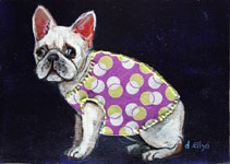 frenchie