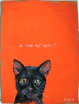 catsbats