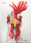 cock