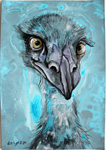 emu