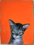 kitty