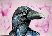raven