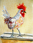 rooster