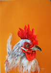 rooster