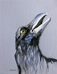 raven
