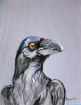 raven