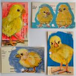 chicks