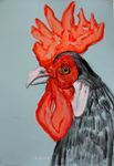 rooster