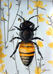 bee