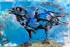 raven