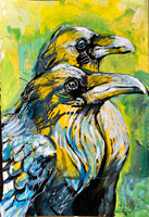 raven