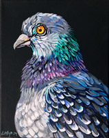 pigeon