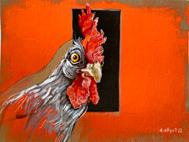 chickenstudy