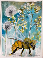 dandelion