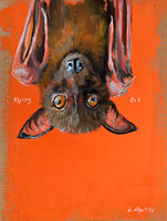 flyingfox3