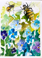 forgetmenot2