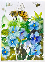 forgetmenot