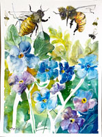 forgetmenot