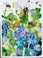 forgetmenot