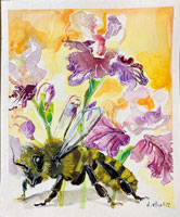 bee