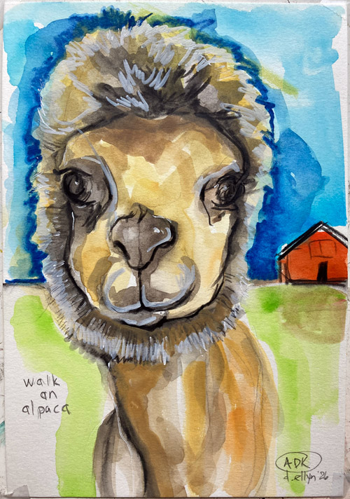 Walk an Alpaca, watercolor on paper by Dana Ellyn, a close-up portrait of an alpaca with a red barn in the background, 5.5x7.5 inches