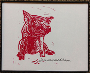 pig1