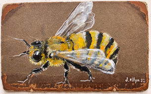 beebook