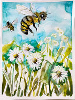 daisies
