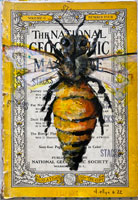 natgeobee