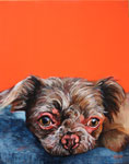 moxie