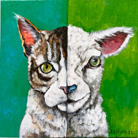 catlamb