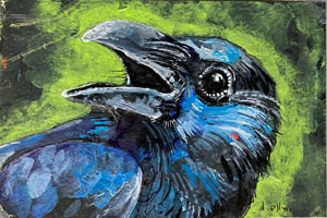 blackcrow