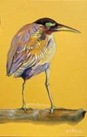 greenheron