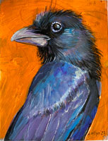 orangecrow