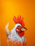 rooster